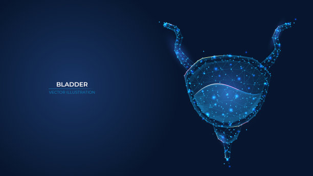 未来抽象的膀胱符号。人体排泄系统的线框概念处理。低聚几何三维壁纸背景矢量插图。图片下载