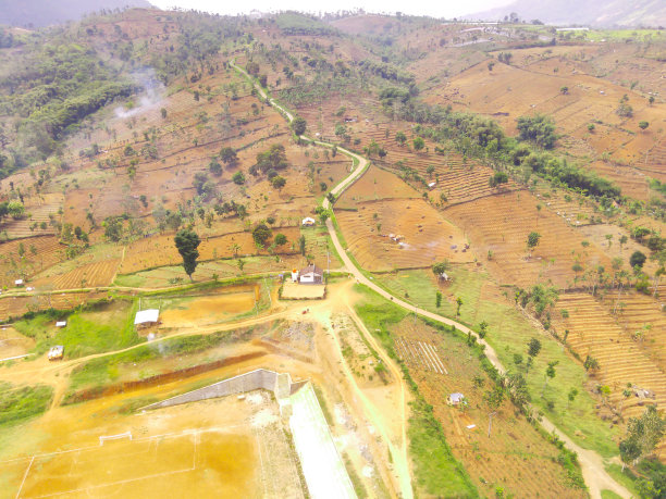 山坡上农田的鸟瞰图图片下载