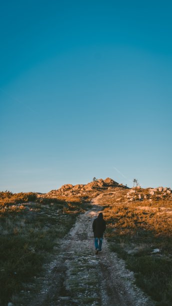 垂直拍摄一个穿着卫衣的孤独的人沿着小路走图片下载