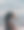 垂直特写的鸭子与模糊的背景图片下载