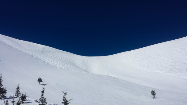 碲化视图图片下载