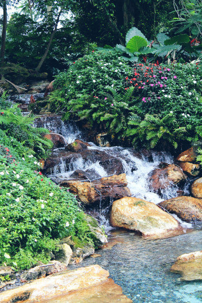 热带瀑布花园图片下载