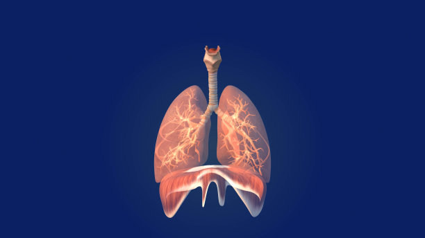 人类肺部保健医学背景图片下载