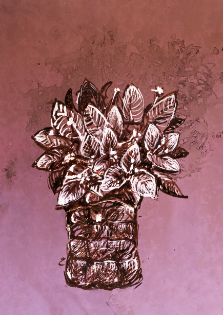单色手绘花在牛皮纸上，插图图片下载