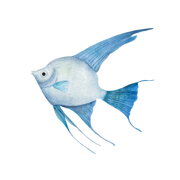 热带鱼，在水彩画风格孤立在白色背景。天使鱼的横幅，海报，印刷，明信片，纺织，模板，卡片水下剪纸图片下载