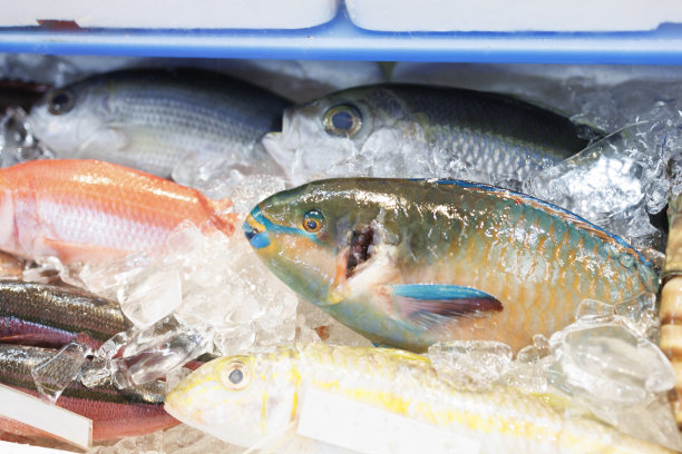 在冲绳的一个鱼市上，新鲜的鹦嘴鱼排起了长队图片下载