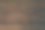 树皮的背景。图片下载