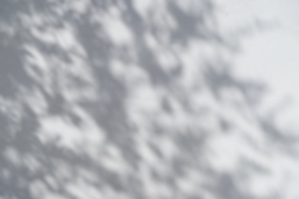 阴影叠加效果的照片。阳光下白色墙壁上树叶和热带树枝的影子。图片下载