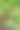 辣椒和有机蔬菜农业菜园图片下载