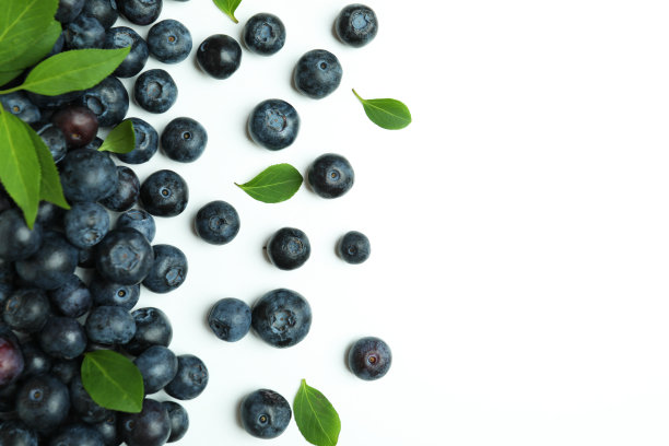 新鲜的蓝莓，白色背景的叶子图片下载