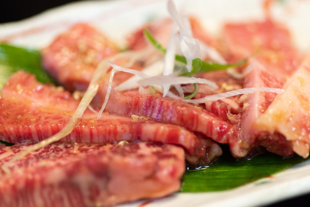 烤肉拼盘图片下载