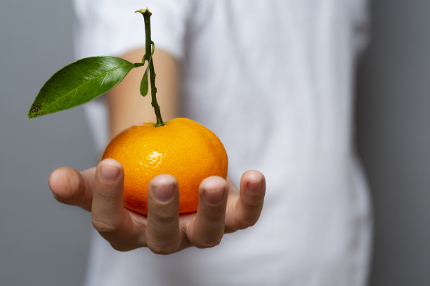 一个孩子的手向你伸出一个有着美丽茎叶的橘子。特写镜头图片下载