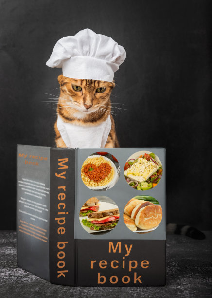 黑底上有一本食谱的猫。图片下载