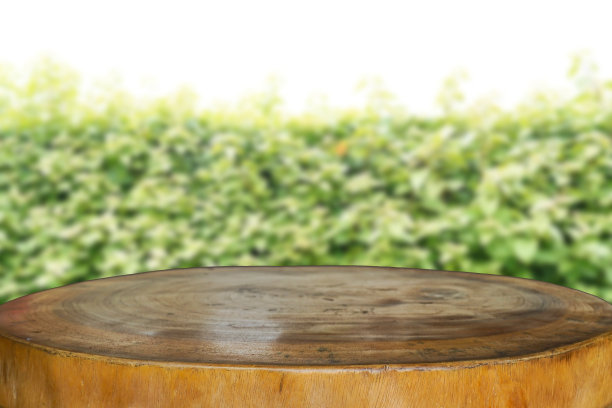 自然和木桌背景为产品展示模板，空木桌和空空间，背景模糊图片下载