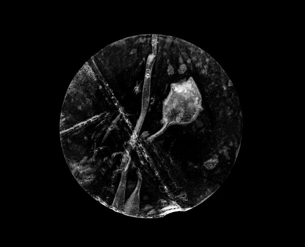 透明胶粘剂圆形塑料不干胶标签隔离在黑色背景图片下载