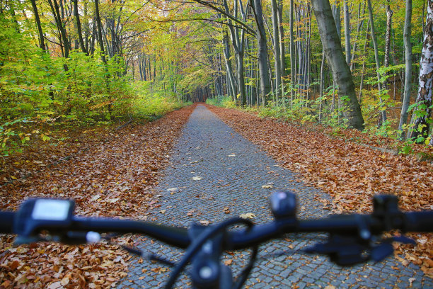 在秋日阳光明媚的日子里骑自行车健身图片下载