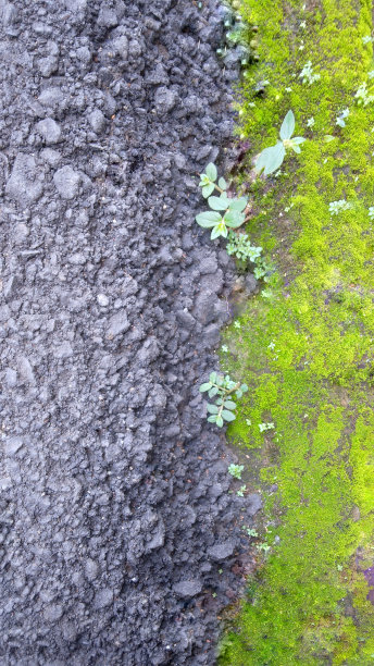 抽象的背景图片下载