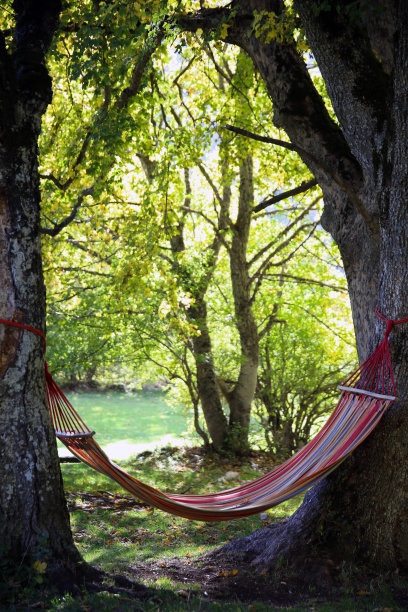 森林里的红色吊床，悬挂在两个旧树干之间，绿色的树叶被阳光背光，Bosco S.Antonio, Pescocostanzo, Abruzzo, Italy图片下载