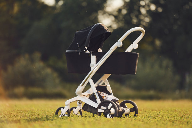 白天，婴儿车在草地上，背景是绿色的草和树图片下载