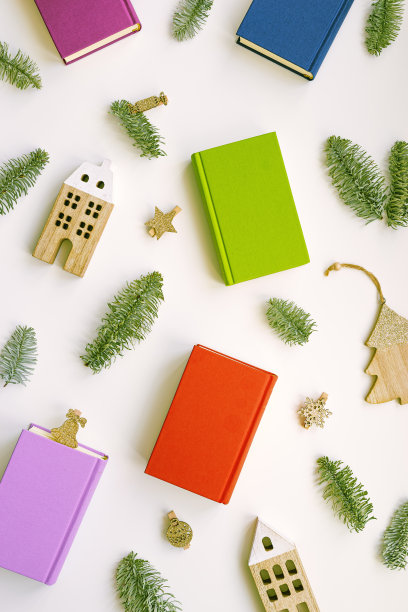 圣诞假期平铺彩色纸书，新年背景，绿色的杉树树枝，木制玩具，彩色封面的书在白色，圣诞理念阅读，学习，教育。图片下载