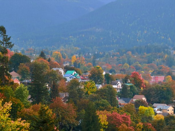 尼尔森在秋天图片下载