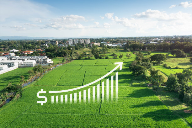 航拍图中的土地价值。图片下载