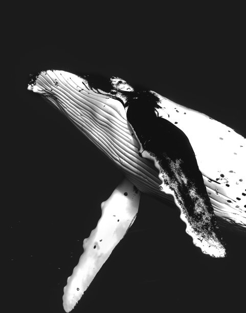 马赛克图片下载