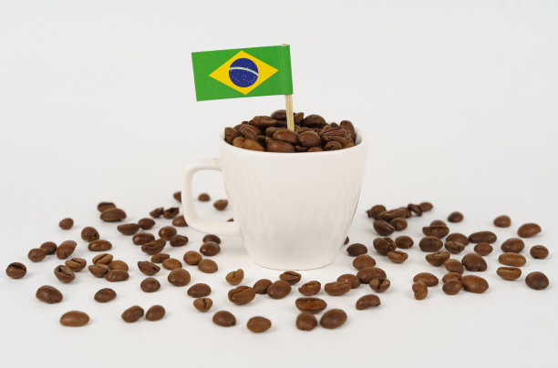 巴西国旗从一杯烤咖啡豆中伸出来。图片下载