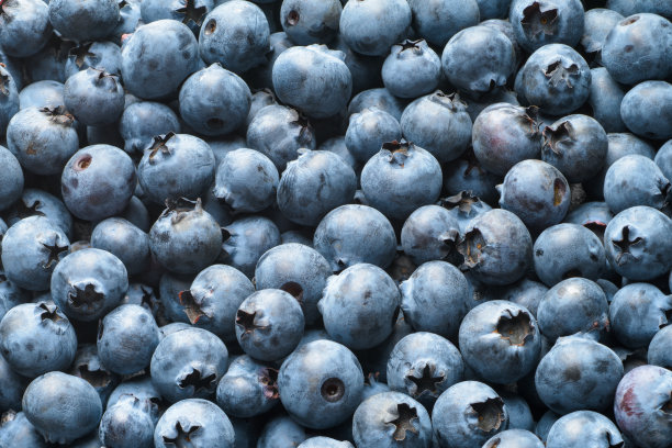 新鲜成熟的蓝莓，浆果质地或背景。图片下载