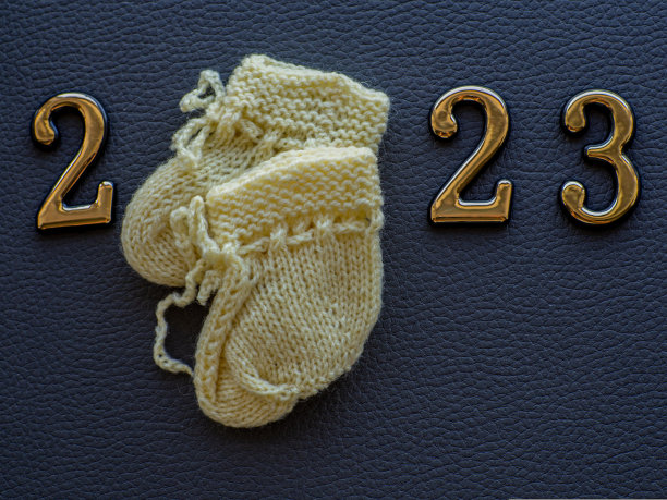 小婴儿鞋与2023排版图片下载