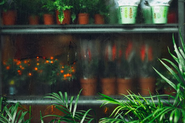 水气在花店的玻璃窗上，栅栏上的花盆里种着花图片下载