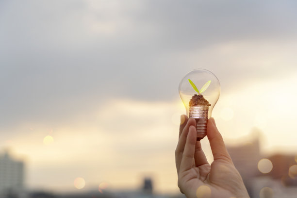 一棵生长在银币上的小树和节能灯泡，一个节能的概念。图片下载