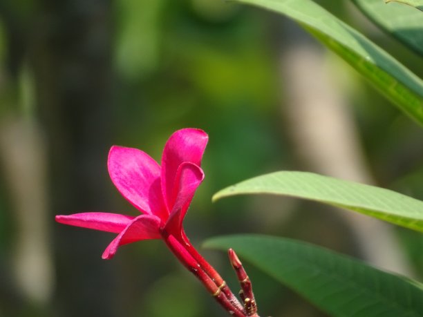 自然之美图片下载