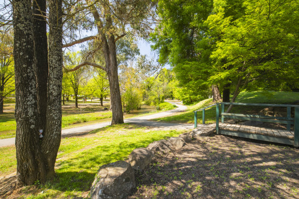 草坪绿油油，绿树成荫的公共公园图片下载