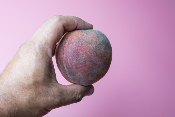 粉红色背景下，一个男人手里拿着一个成熟的桃子图片下载