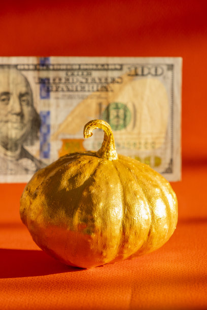 金南瓜在美国前面100美元图片下载