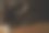 一个可爱的兔子的鼻子的选择性聚焦镜头图片下载