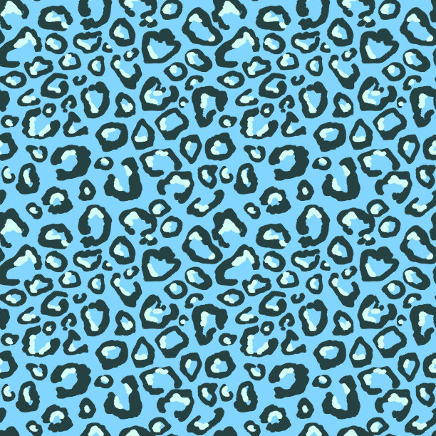 豹在蓝色的图片下载