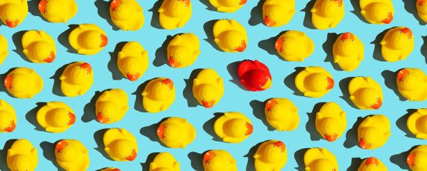 一个独特的橡胶鸭概念上的蓝色背景图片下载