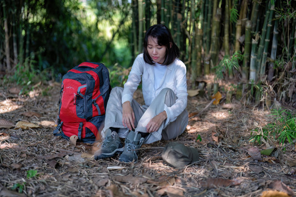 年轻的背包远足植物学研究妇女走在森林里，注意看树离开图片下载