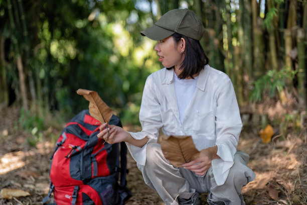 年轻的背包远足植物学研究妇女走在森林里，注意看树离开图片下载