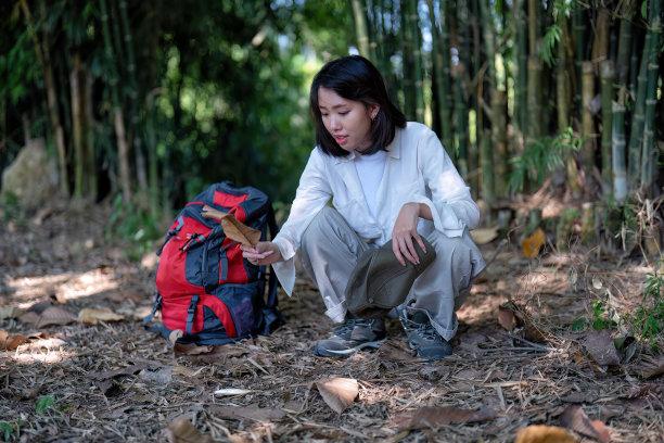 年轻的背包远足植物学研究妇女走在森林里，注意看树离开图片下载