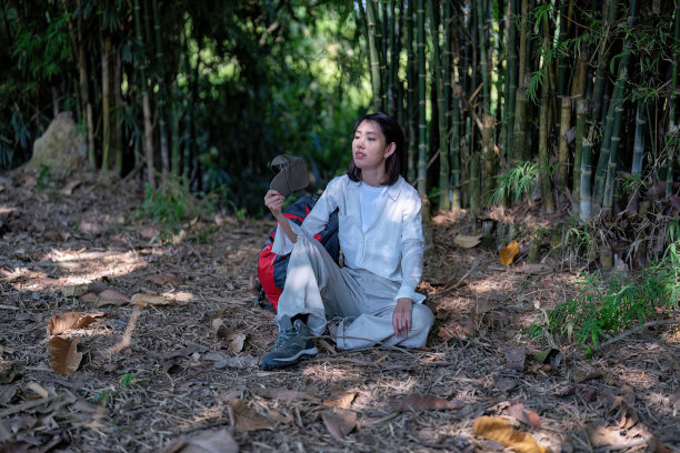 年轻的背包远足植物学研究妇女走在森林里，注意看树离开图片下载