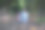 年轻的背包远足植物学研究妇女走在森林里，注意看树离开图片下载