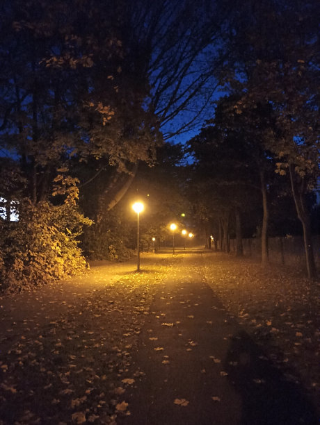 在清晨上班的路上图片下载