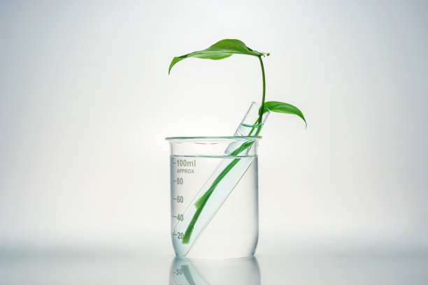 天然有机植物学和科学玻璃器皿，替代草药，天然护肤美容产品图片下载