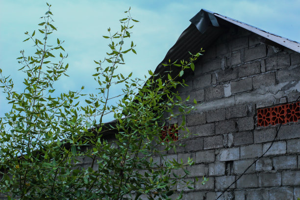 砖建筑图片下载