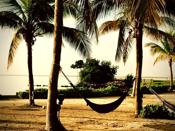 吊床，鸡尾酒，棕榈树....这是第三系列的生活部分图片下载