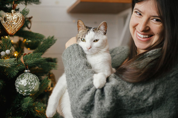 女人在舒适的毛衣拥抱可爱的猫在时髦的圣诞树与复古的小玩意。宠物和寒假。可爱的小猫和快乐的女人依偎在节日的房间里。圣诞快乐!图片下载