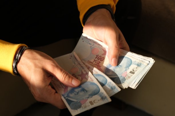 沐浴在阳光下的土耳其硬币图片下载